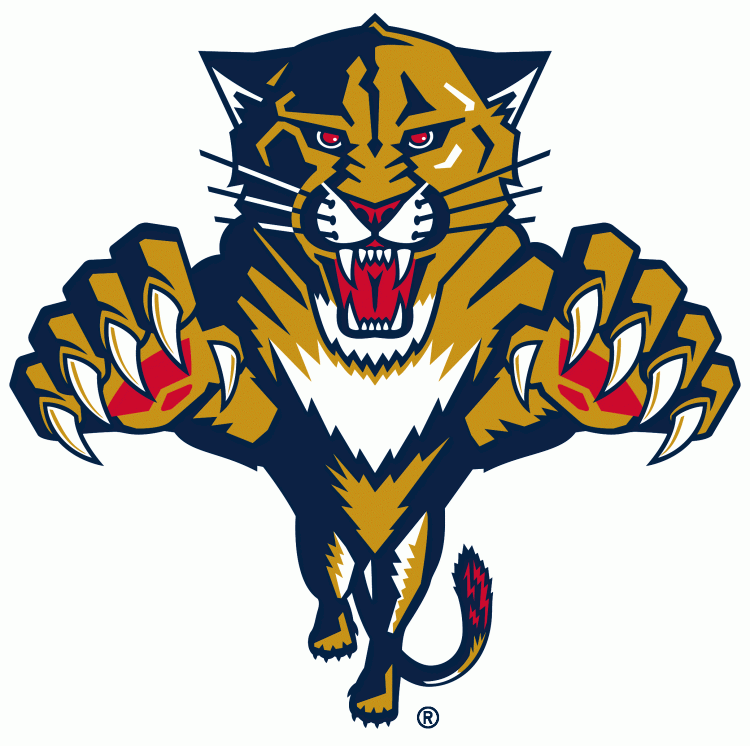 Florida Panthers1999-2016 Primary Logo iron on transfers for fabric